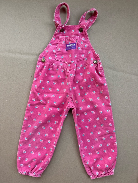 OshKosh B'gosh Other - Vintage OshKosh B’Gosh Pink Floral Corduroy Vestbak Overalls 2T